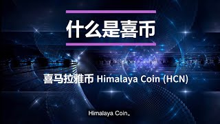 11分钟告诉你为什么喜币是骗局 (Get to Know H Coin Scam in 11 Minutes, Chinese Subtitled)