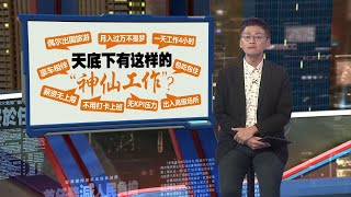 月入最高达6万 不用打卡上班   这个“新职业”在中国爆火！| 新闻报报看 26/05/2024