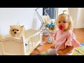 Maggie and little sister ague about puppy - new best series for kids