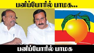 பனிப்போரில் பாமக..! Anbumani Ramadoss || PMK in the Cold War || PMK Latest News || King 360