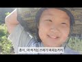 김천촌놈훈이 농촌일상vlog 10월 연휴 동생 사과밭에서 조카와 함께 소소하게 영상한편 만들어 봤습니다