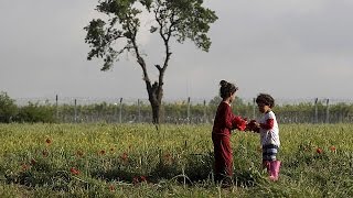 Αυστρία: Νέος νόμος προβλέπει αυστηρότερους όρους για χορήγηση ασύλου