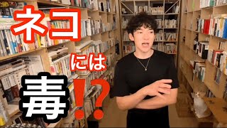 ネコには毒⁈フィトセラピーやアロマオイルはペットに使って大丈夫？DaiGoの好きなアロマは？【メンタリストDaiGo切り抜き】【猫】【健康】