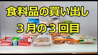 食料品の買い出し３月の３回目　１２点購入