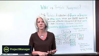 What is Portfolio Management vs. Project Management? Beginner's Guide