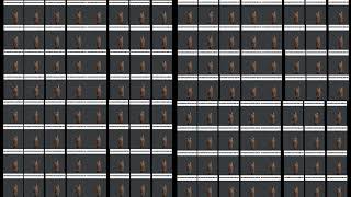 one hundred and twenty eight rats