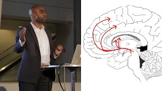 Addiction and the Brain - AMNH SciCafe