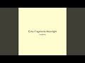 Echo Fragments Moonlight