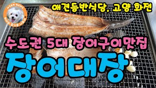 애견동반 보양식 맛집[장어대장][말복][복날음식][애견동반식당][고양][화전점][추천맛집][장어구이][말티즈][맛집추천][고양맛집][애견식당]