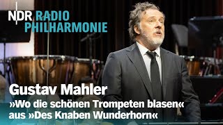 Mahler: \