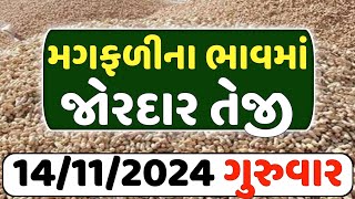 🔥મગફળીના ભાવમાં વધારો 🔥| 14-11-2024 | magfali na bhav | આજના મગફળીના ભાવ commodity Trend#magfali