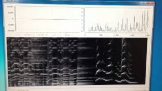 Realtime python spectrograph test