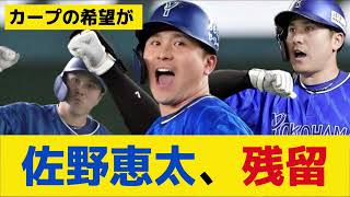 【DeNA】佐野は国内ＦＡを行使せず残留　球団が発表　「ベイスターズのために活躍をしたい」とコメント