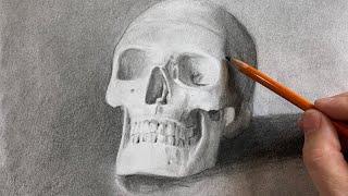 Skull-Building Exercises | Skull Drawing