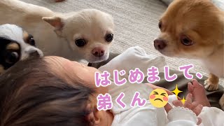 赤ちゃんと初対面♡