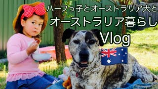 【オーストラリア生活Vlog】国際ファミリーのとある日 | 日豪バイリンガルっ子がガーデニングをするほのぼののんびりVlog【ハーフ子育て】【オーストラリア田舎暮らし】Weekend Vlog