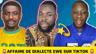 🚨LE TOGOLAIS EST-IL VRAIMENT UN VILLAGEOIS QUI S'EXPRIME PAS EN FRANÇAIS SUR LES RÉSEAUX ❓❓🚨