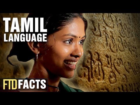 Where is Tamil language born?
