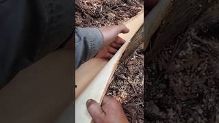 手刀による杉の皮むき Peel the cedar bark with a hand knife #shorts