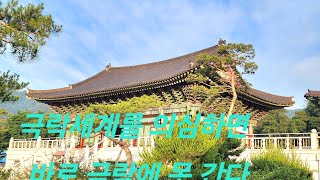 청계산정토사TV 보광스님 457호 6월초하루법회 의혹중생 변지탄생(ven.bokwang jeongtosa temple pure land buddhism)`24.7.6