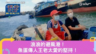 《唔試唔知份工好》浪浪的避風港！魚蛋傳人王老太愛的堅持！