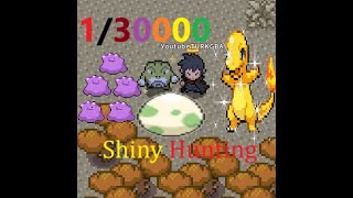 Live Canli Yayin PokeMMO oyun  Ditto farming PARA hedef Shiny CHARMANDER arayışında 1/30000 ihtimal