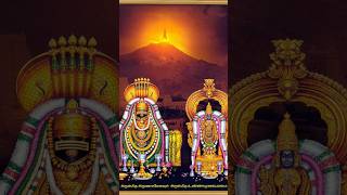 Arunachalane Esane Song WhatsApp status #whatsappstatus #lordshiva #sivan #sivayanama #devotional