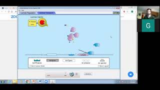 Lac Operon Simulation