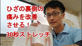 ひざの裏側の痛みを改善する30秒ストレッチを公開します