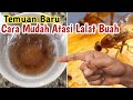 *Cara mudah mengatasi lalat buah || dengan racikan super dasyad ini.