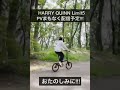 harry quinn limit5【東京・稲城市】