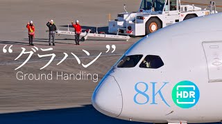 [8K HDR] Sky Keepers: Tokyo Haneda Airport Ground Handling  東京羽田のグランドハンドリング 空の守護者