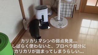 土曜の朝のまるお  🙀 大変❗️うちのこエレクトリック カリカリマシーンSPから、カリカリが出ない❗️ カリカリマシーンは、定期的に動かしましょう。