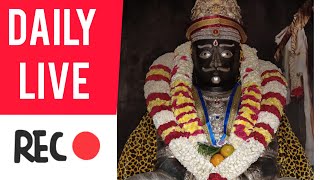 PANDI KOVIL LIVE