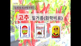 [농사정보] (4월3주)  고추_밑거름(화학비료)