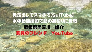 [釣り場紹介]愛媛県　久万高原町　面河川本流