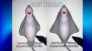 Drawing Stingrays' Fins anatomy Art Tutorial