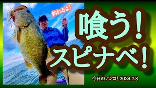 【今日のナンコ！2024.7.8】喰う！スピナベ！【琵琶湖バス釣り】