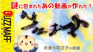 夏休み実験工作・君にも作れるウルトラな動画！ヨーグルトで＃衣食住院正子