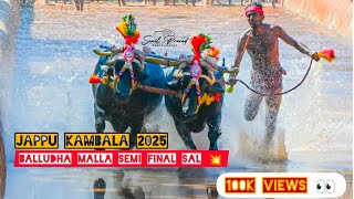 JAPPINAMOGARU KAMBALA 2025🔥 BALLUDHA MALLA SEMI FINAL RACE 💥 FULL HD VIDEO 📸 TOP RACES 💥