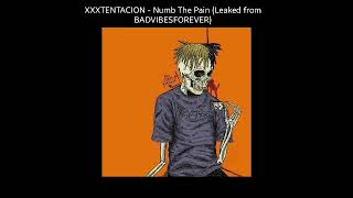 XXXTENTACION - Numb The Pain (Leaked from BADVIBESFOREVER)