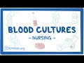 Blood cultures: Clinical Nursing Care