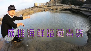 大潮水才能盘的底潮坑，成堆海鲜中竟暗藏这种毒货，一斤要300多