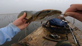 Fishing Snakehead On The Boat | គីឡូធ្ងន់ចេញខាំច្រើនលើកនឹង |ជីះទូកវាត់ត្រីម្តងមើល