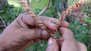 How to Make Panthal for plants in Tamil | support for climbing plants | Easy method | Saro Kitchens