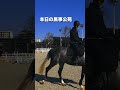 新バジコウエン 0210　〜世田谷の馬動画チャンネル〜