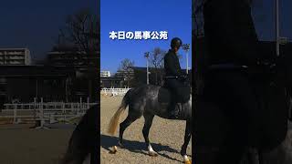 新バジコウエン 0210　〜世田谷の馬動画チャンネル〜