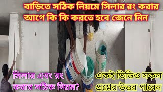 বাড়িতে সঠিক নিয়মে সিলার রং করার আগে কি কি করতে হবে জেনে নিন। সিলার এবং রং লাগানোর নিয়ম। রং এর দাম