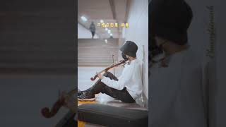 【Violin】Âm nhạc giản giới《可惜没如果》by 龚明威