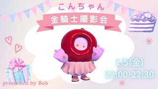 【ボブのFallGuys実況】こんちゃん金騎士撮影会【#フォールガイズ】